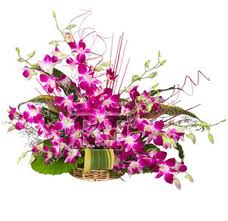 24 Orchids basket